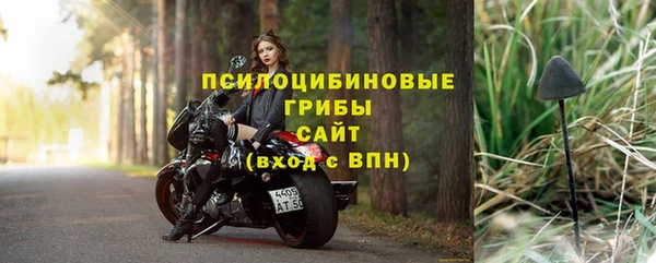 ПСИЛОЦИБИНОВЫЕ ГРИБЫ Алексин