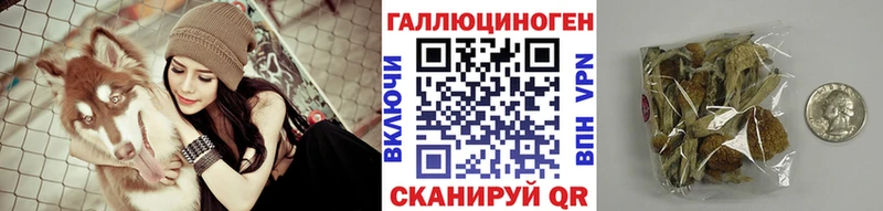 Галлюциногенные грибы Psilocybine cubensis blacksprut сайт Кувшиново как найти